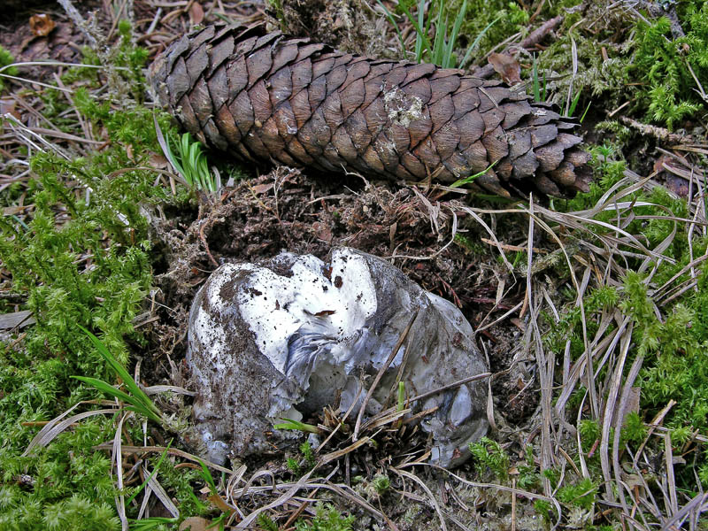 Ritrovamenti venerd� 20 aprile.